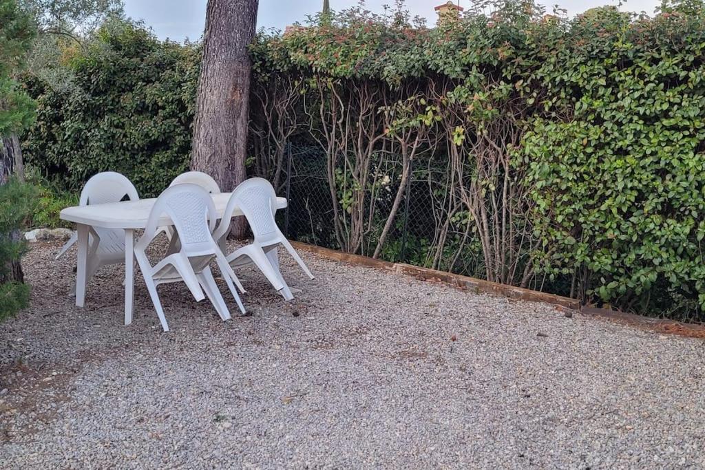 Apartment Dans Au Coeur De La Provence